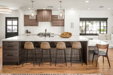 Example of a minimalist kitchen design in Phoenix