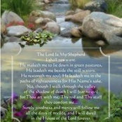 Teresa Rene's photo