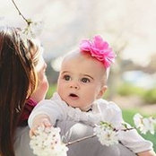 Susan Sigmon's photo