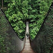 Waldo Levitts foto