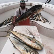 Zach Schofer's photo