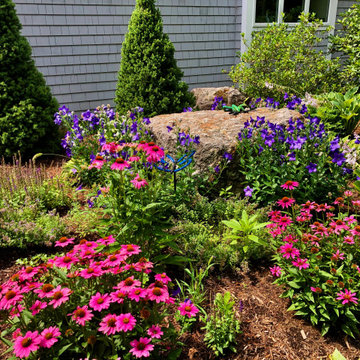 Addition of Alberta Spruce, Garden Maintenance