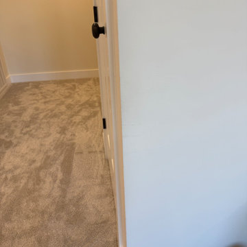 Mold Restoration