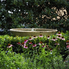 Gardening