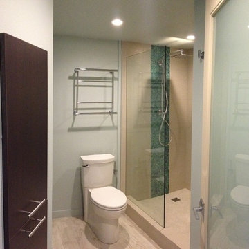Spa master bath with doorless shower