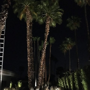 Palm Springs Landscape Lighting