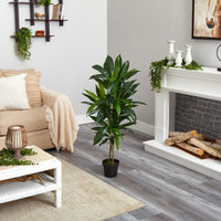 48" Dracaena Silk Plant, Real Touch