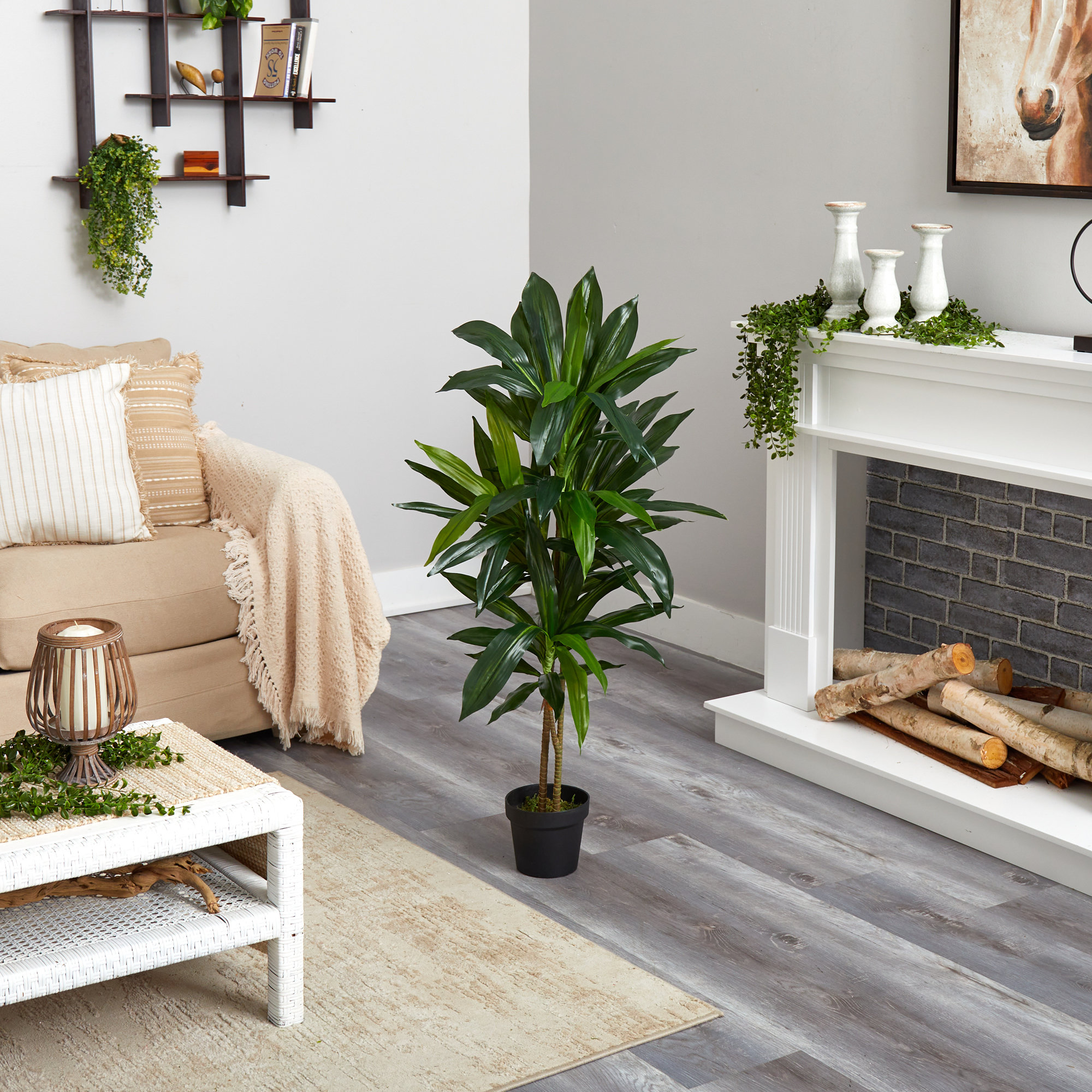 48" Dracaena Silk Plant, Real Touch