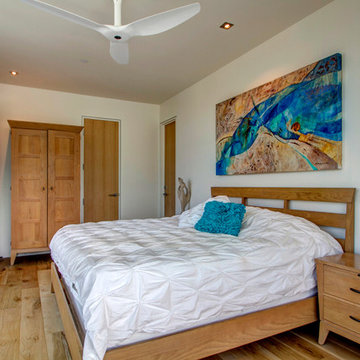 La Jolla Shores House