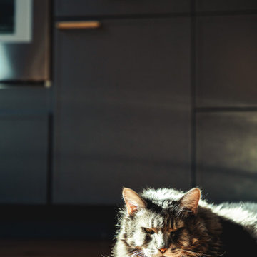 Dark Kitchen