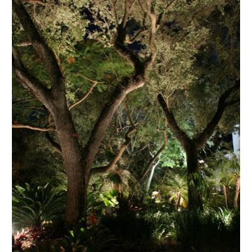 Affordable Lawn Sprinkler and Lighting's Artistry around Northern Virginia
