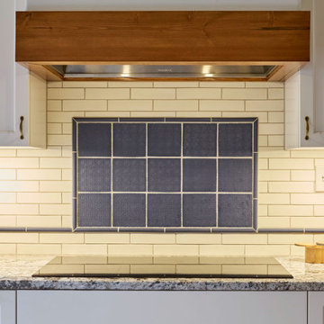 Ladds Addition Transitional White Kitchen