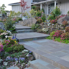 Front Landscaping