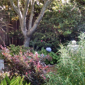 Milpitas Front and Back yard Rebuild