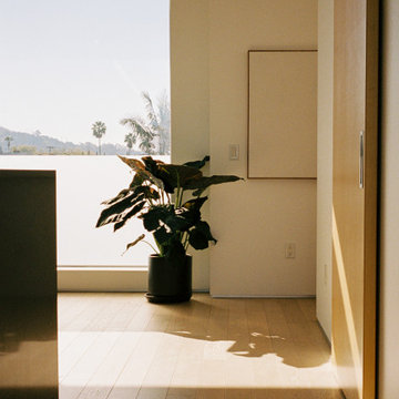 Venice Beach Residence