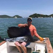 Sam Sell's photo
