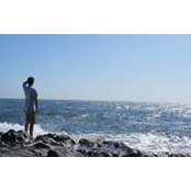 James Shaheen's photo