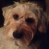 Wendi Martin's photo