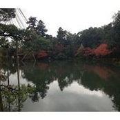 Joshua Bloom's photo