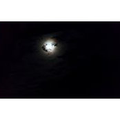 Melani Bailey's photo
