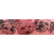 Patti Overbay's photo
