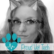 Foto von Amanda Elizabeth