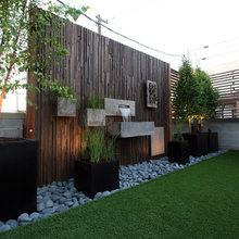 Landscape Yard