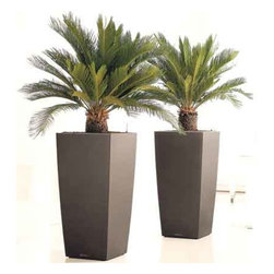Modern Planter - Products