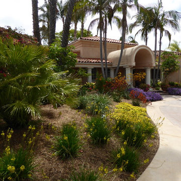 Lawn conversion in Fairbanks Ranch