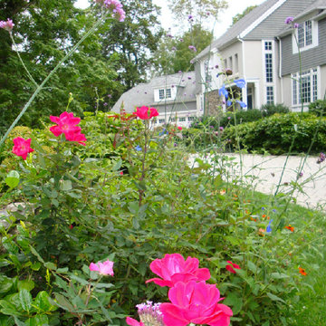 Chestnut Hill