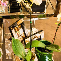 Boutique + Garden Center - Home Decor