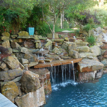 Tropical Oasis-As Seen On Animal Planet-The Pool Master