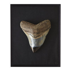 MEGALODON WALL ART &ndash; PILOCENE - NEW - Artwork