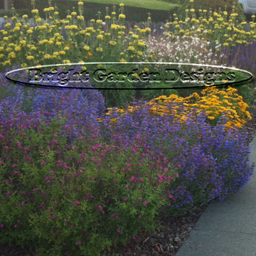 Front yards don't have to be drap and boring
