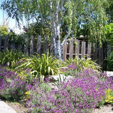 Crystals, Sculpture and Healing Gardens