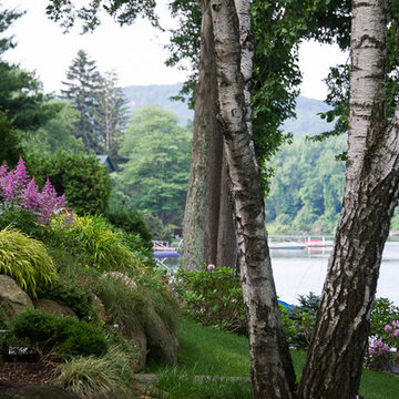Birch tree with gardens