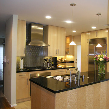 Mar Vista Modern Kitchen