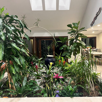 Indoor Tropical Garden