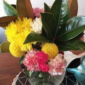 Brooke Guthberg's photo
