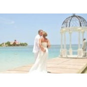 Amanda Matthews's photo