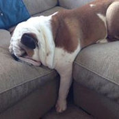 Allison Alvarez's photo