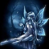 Lisa Cole's photo