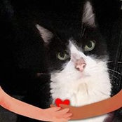 Kathleen Mina's photo