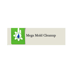 Mega Mold Cleanup