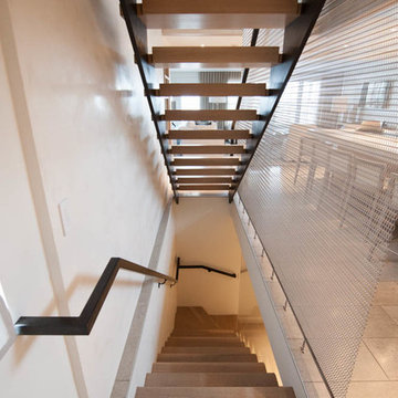 Loft Ladder