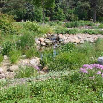 Carpenter Nature Center