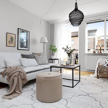 Scandic Living Room