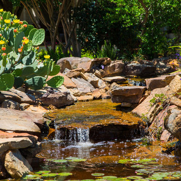 The Golden Pond and Water Features