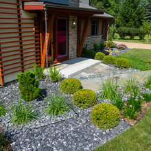 Landscape Ideas