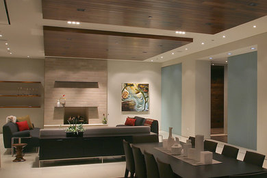 Huge minimalist open concept concrete floor living room photo in Chicago with gray walls, a standard fireplace and a stone fireplace